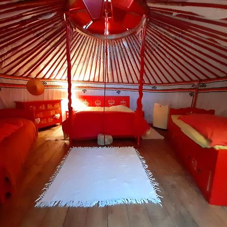 B&B L'Albatros Fayence Kültér fotó