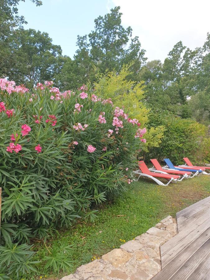 B&B L'Albatros Fayence Kültér fotó