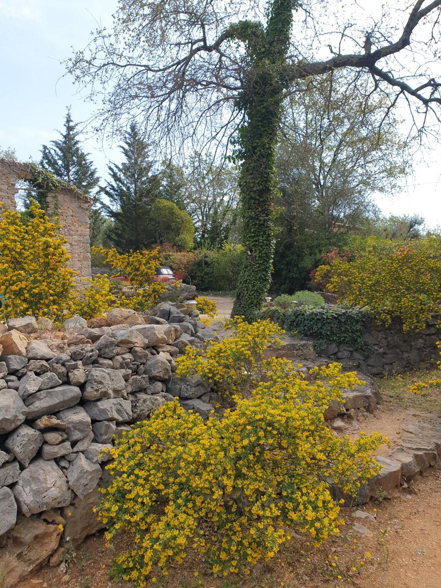 B&B L'Albatros Fayence Kültér fotó